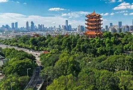 开云官网鉴定-辨别真伪，守护时尚之选 —— 开云官网鉴定