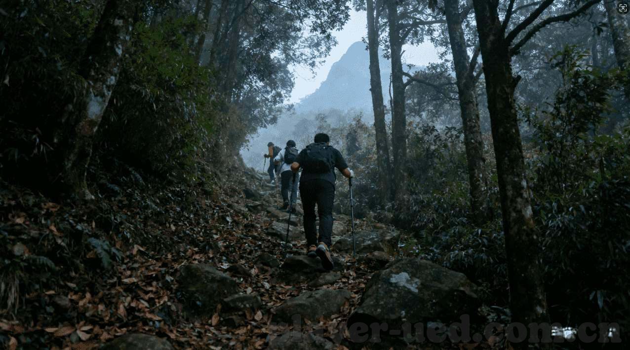 问鼎娱乐圈广播剧-问鼎娱乐圈的广播剧，重塑声音艺术的魅力